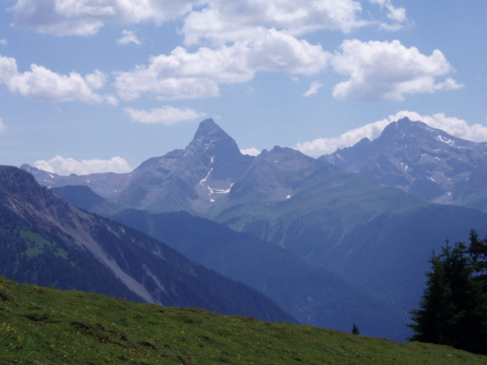 25 diezer horn
