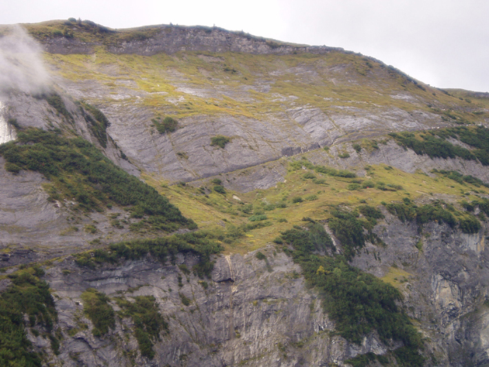 hpblick abtrieb06