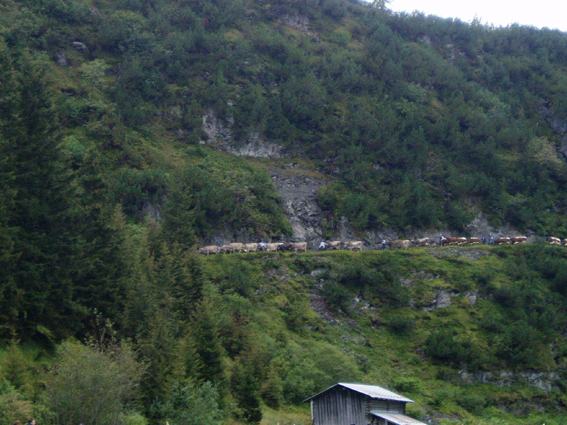 hpkhe erste-16