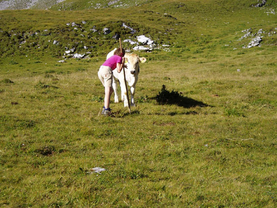 romana mit klble