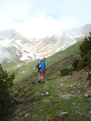 weg zum vieh