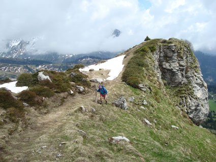 weidzaun 3
